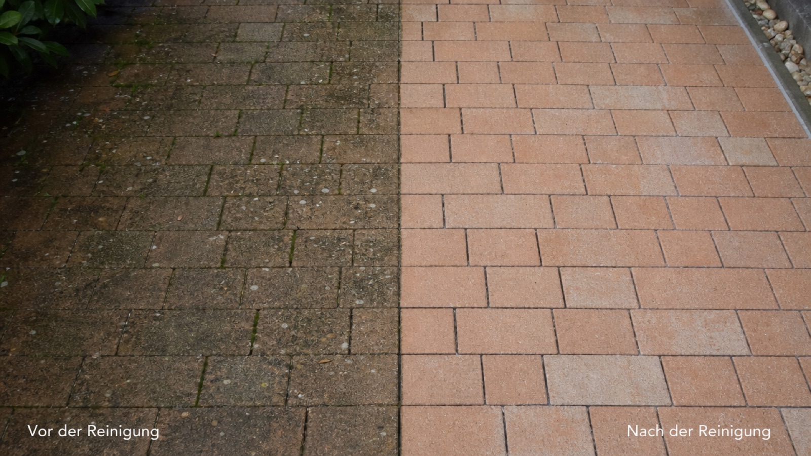 Einfahrt vor und nach der Steinreinigung – links vermoost, rechts sauber